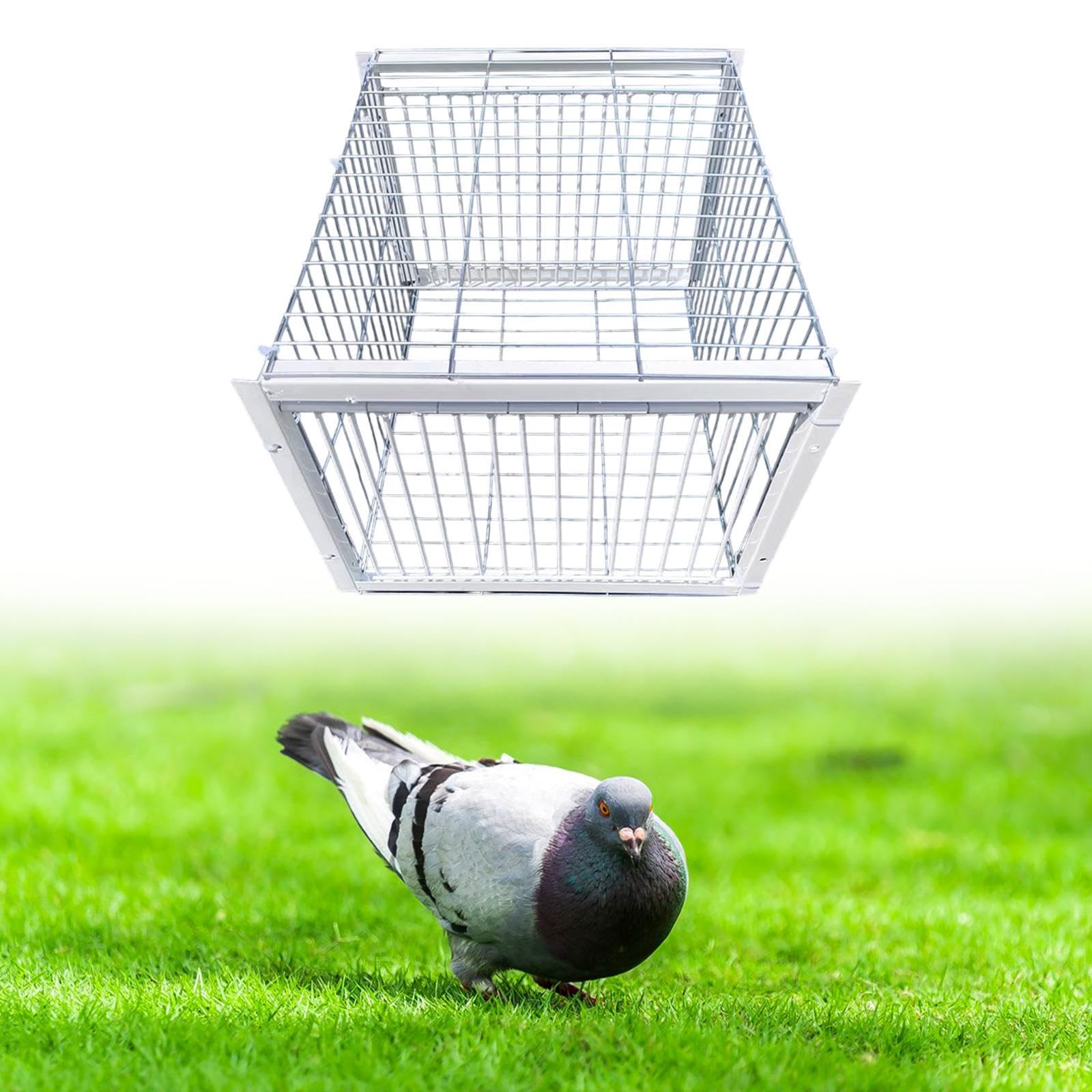 Jaula para Palomas, Soldadura Metálica Impermeable, Atrapapalomas Automático, Animales para Gorriones en Tejados, Entrada de 2 vías