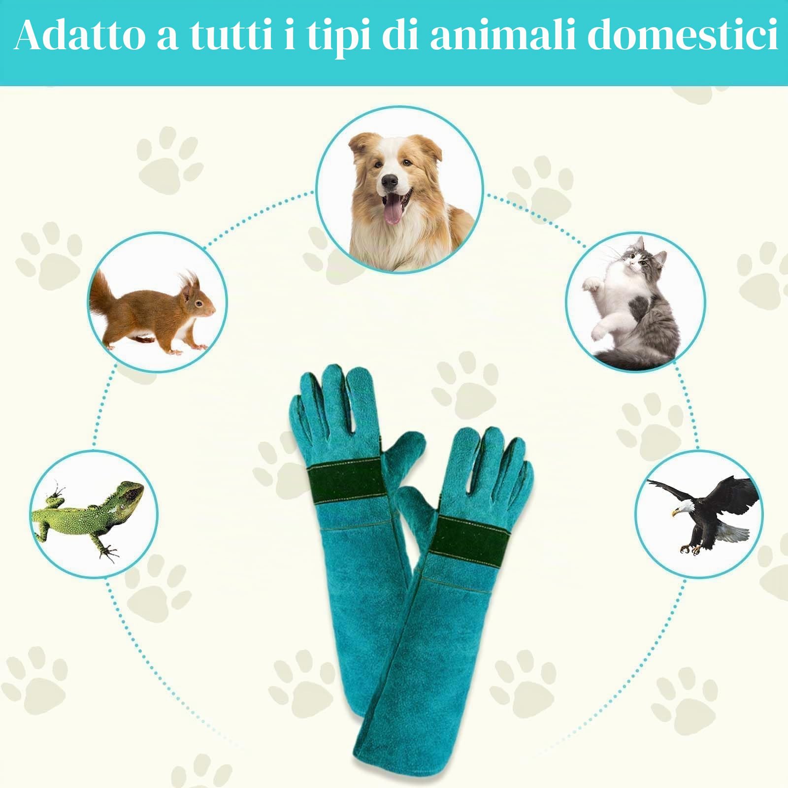 Guanto di Pelle AntiGraffio 35cm per Animali Antimorso Cane Addestramento Alimentazione Verde Scuro