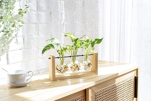 Miniatura 8 de Mkono Estación de propagación de plantas con soporte de madera, maceta de vidrio para colgar en la pared, florero de bombilla de terrario de mesa