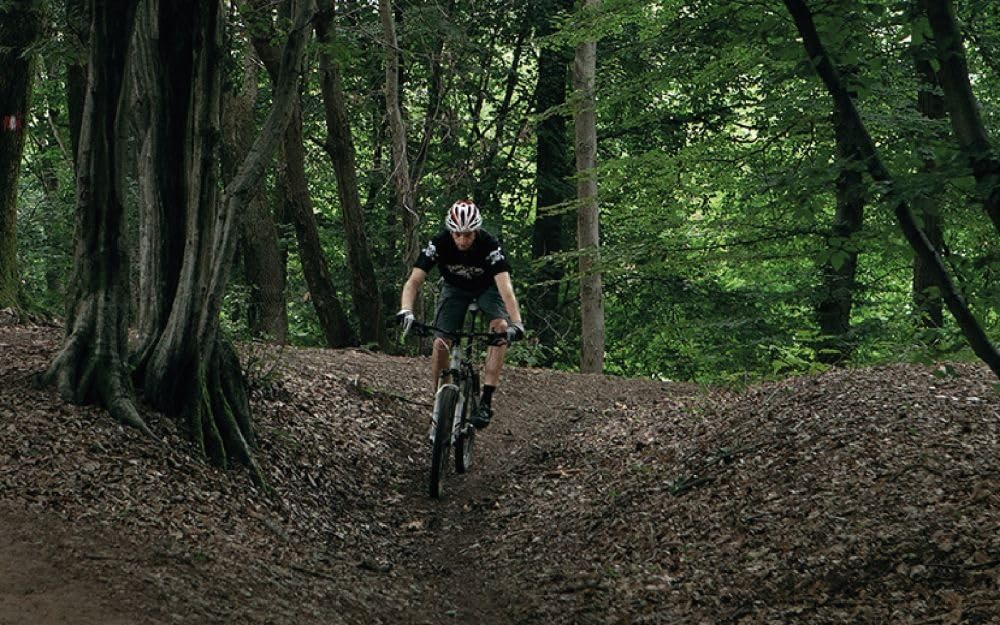 Selle Royal Vaia Selle de vélo pour longs trajets sur terrain mixte