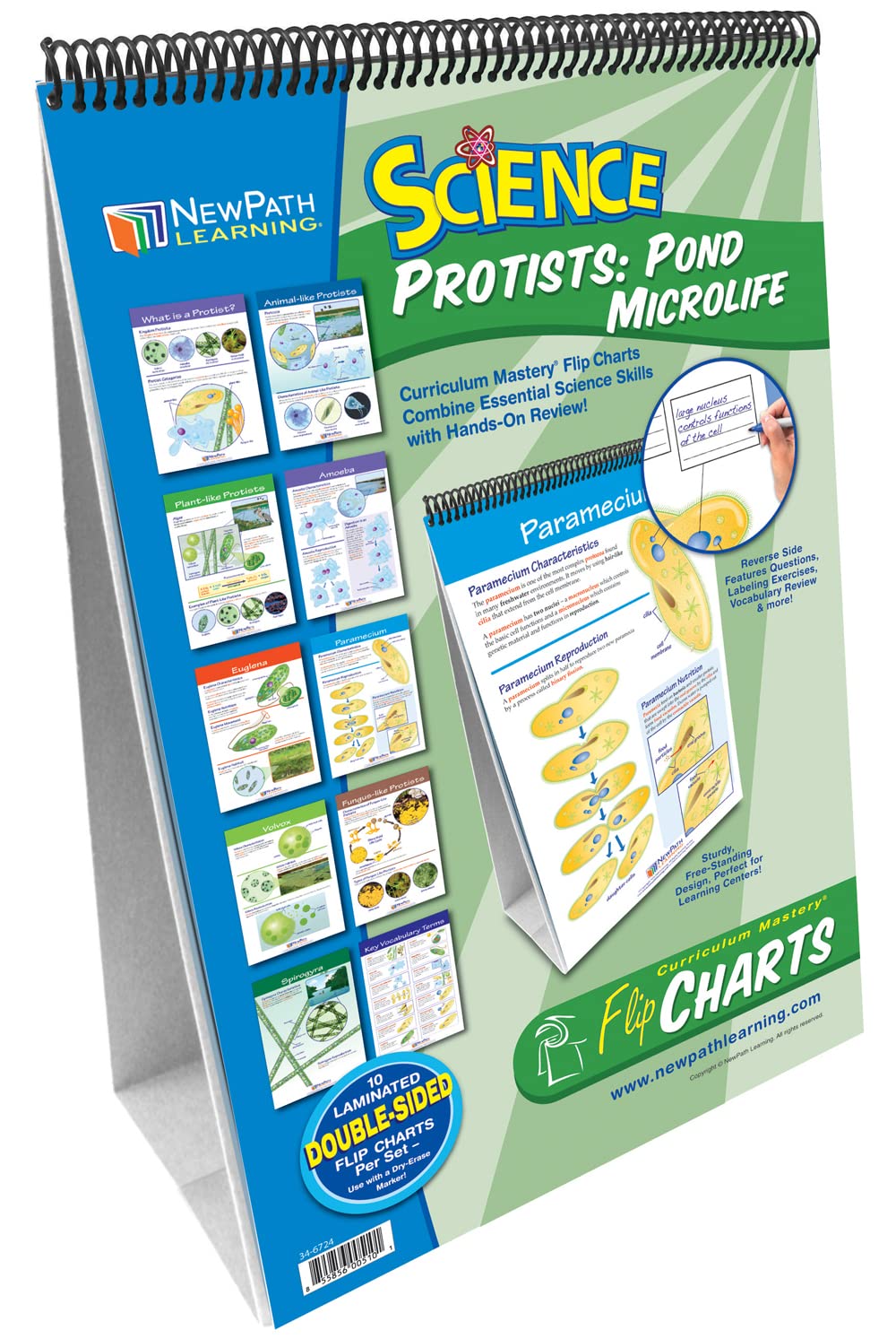 NewPath Learning Protists: Pond Microlife Laminated, Double-Sided "Write-On/Wipe-Off" Flip Chart - Set of 10, 12" x 18" Charts (34-6724)