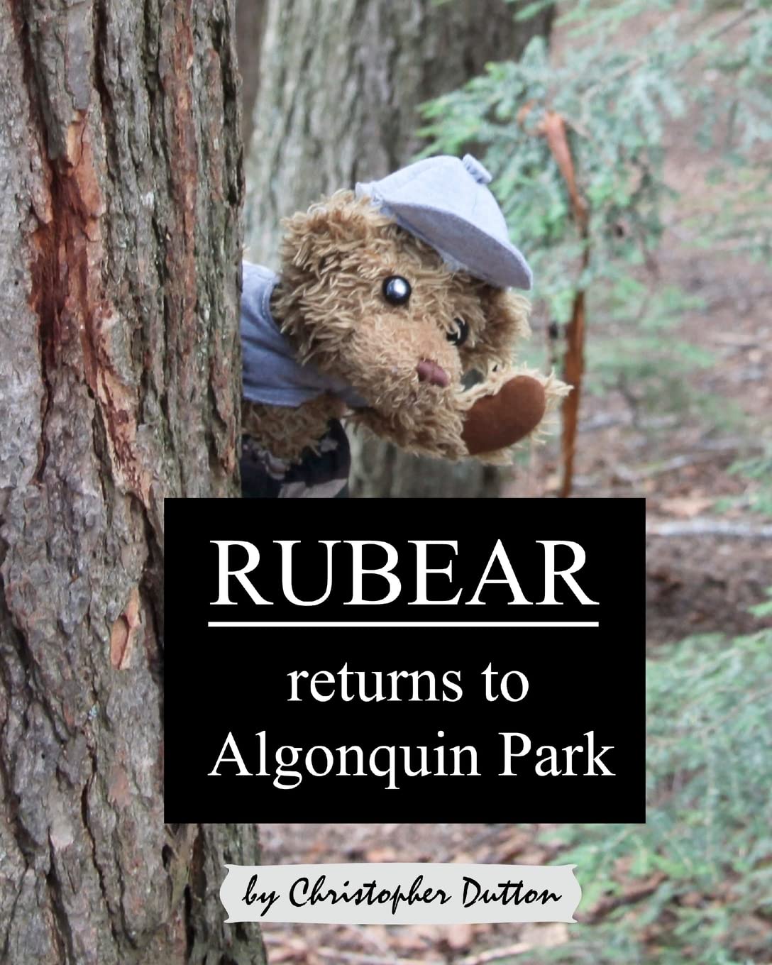 Rubear returns to Algonquin Park