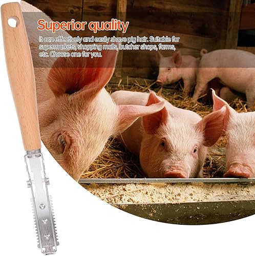 Miniatura 2 de BESTonZON Cuchillo removedor de acero cuchillo de animales de cerdo procesamiento de recortadora de cocina eliminación de restaurantes mango de aves