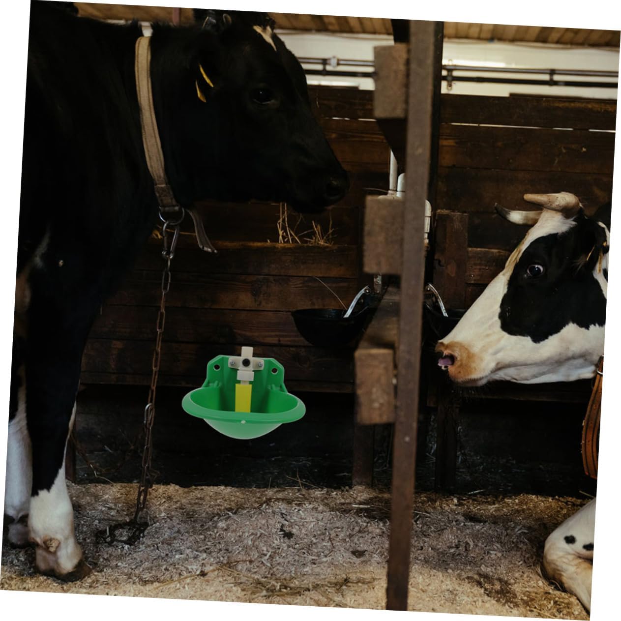 GALPADA 6pcs Automatic Drinking Bowl for Sheep Water Dispenser Copper Valve Easy to Install Lamb Fountain for Livestock Hydration