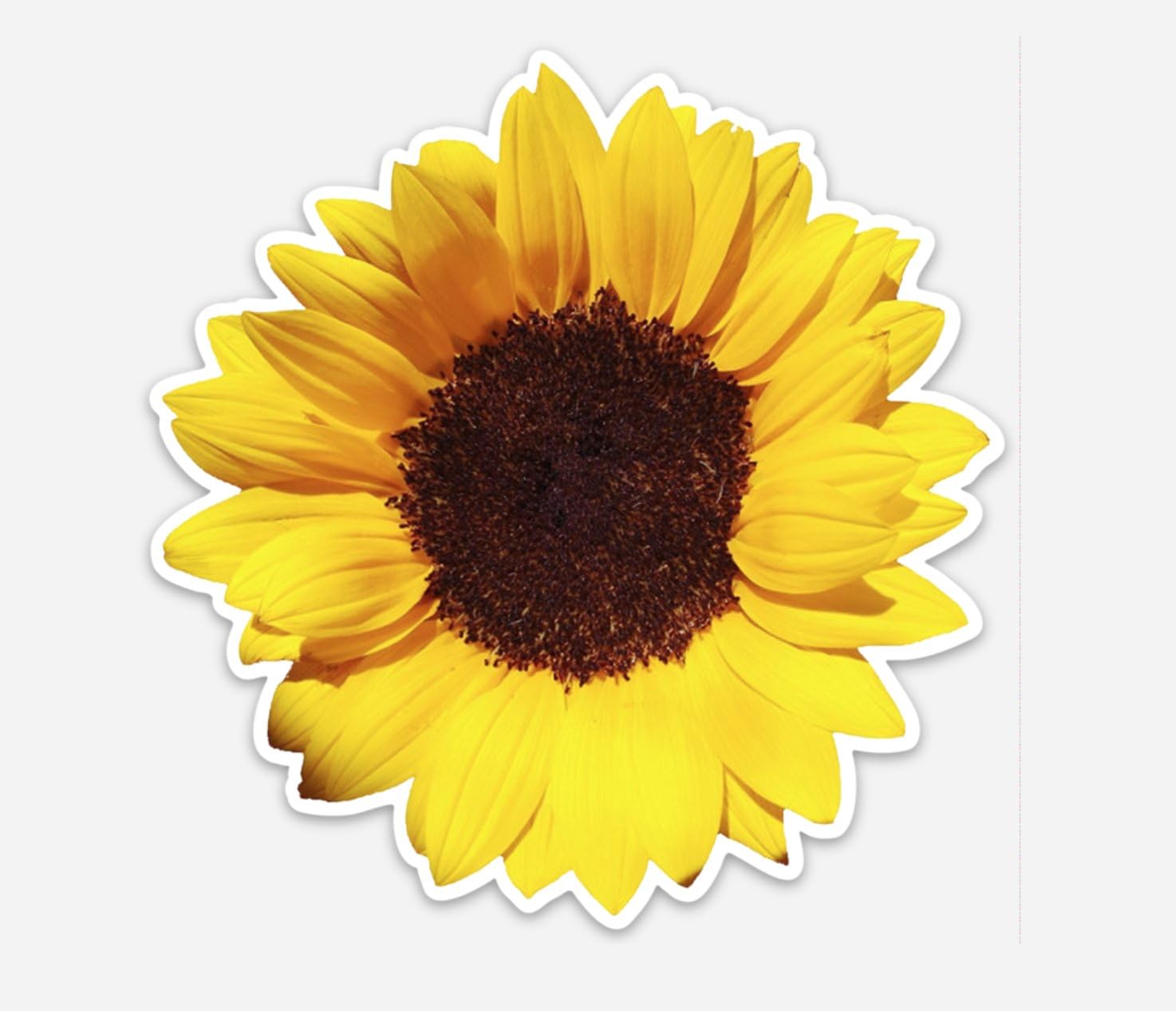 Laptop Wall Bumper Window Sticker 4" Sunflower by Pip and Co