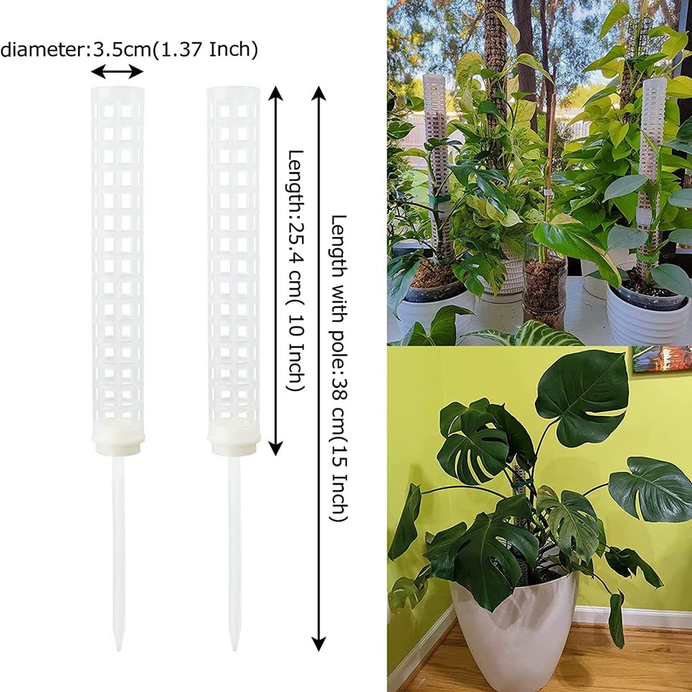 KeuLen Support for fraisiers, 6 poteaux en Plastique for Mousse, 38 cm, en Maille Transparente for Plantes Monstera en Pot