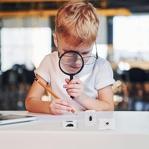 Vista 27 de 12 piezas de insectos en resina colección de insectos de resina de arácnidos, pisapapapeles de diferentes insectos para niños, juguete educativo