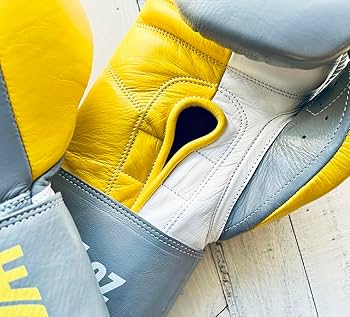 Amazon | PRIZE RING/プライズリング ボクシンググローブ