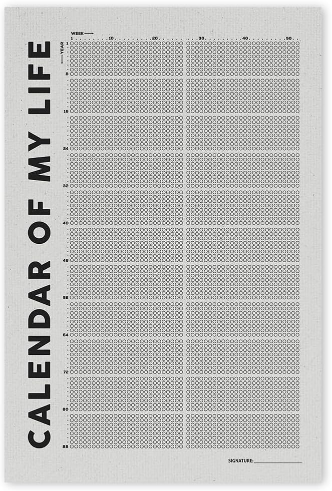 Calendar of My Life Poster, 16"x24" Lifetime Calendar, Life Calendar, Weeks Calendar Poster, Weeks by Weeks, Home Decor, Life Calendar in Weeks - Frame not Included Life Week Calendar 2