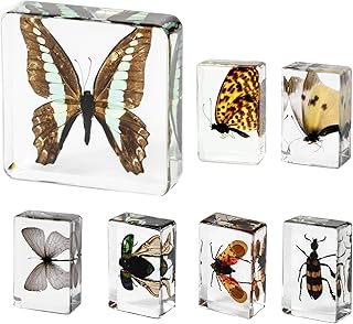 7pcs Butterflies Insects Resin Specimen,Preserved Butterfly Bugs Taxidermy in Resin for Science Education, Chrismas Insect Butterfly Specimen Gift,Biology Décor (Taxidermy Butterfly,2.95x2.95x0.79in)