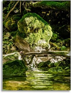 CLOGGS Bathroom Wall Art Decor Bathroom Pictures for Wall Artwork Bank a wild creek a mossy rock sunny daylight Framed Canvas Wall Art for Bedroom Dining Room Farmhouse 16""x20""