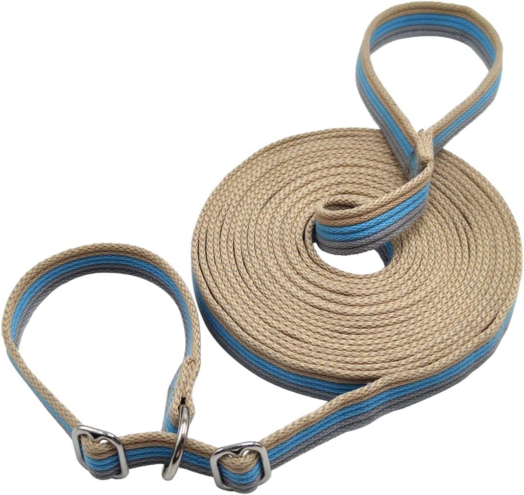 Boswany 10FT / 15FT / 20FT Anti-Choke Slip Lead Dog Leash, 1” Wide Soft Thick Long Training Leash for Strong Small Medium Large Dogs…
