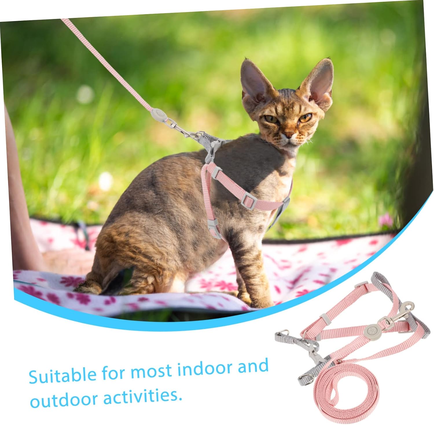 WOONEKY 1set Cat and Leash Small Cats and Kittens Escape Soft Walking Gear for Outdoor Adventures