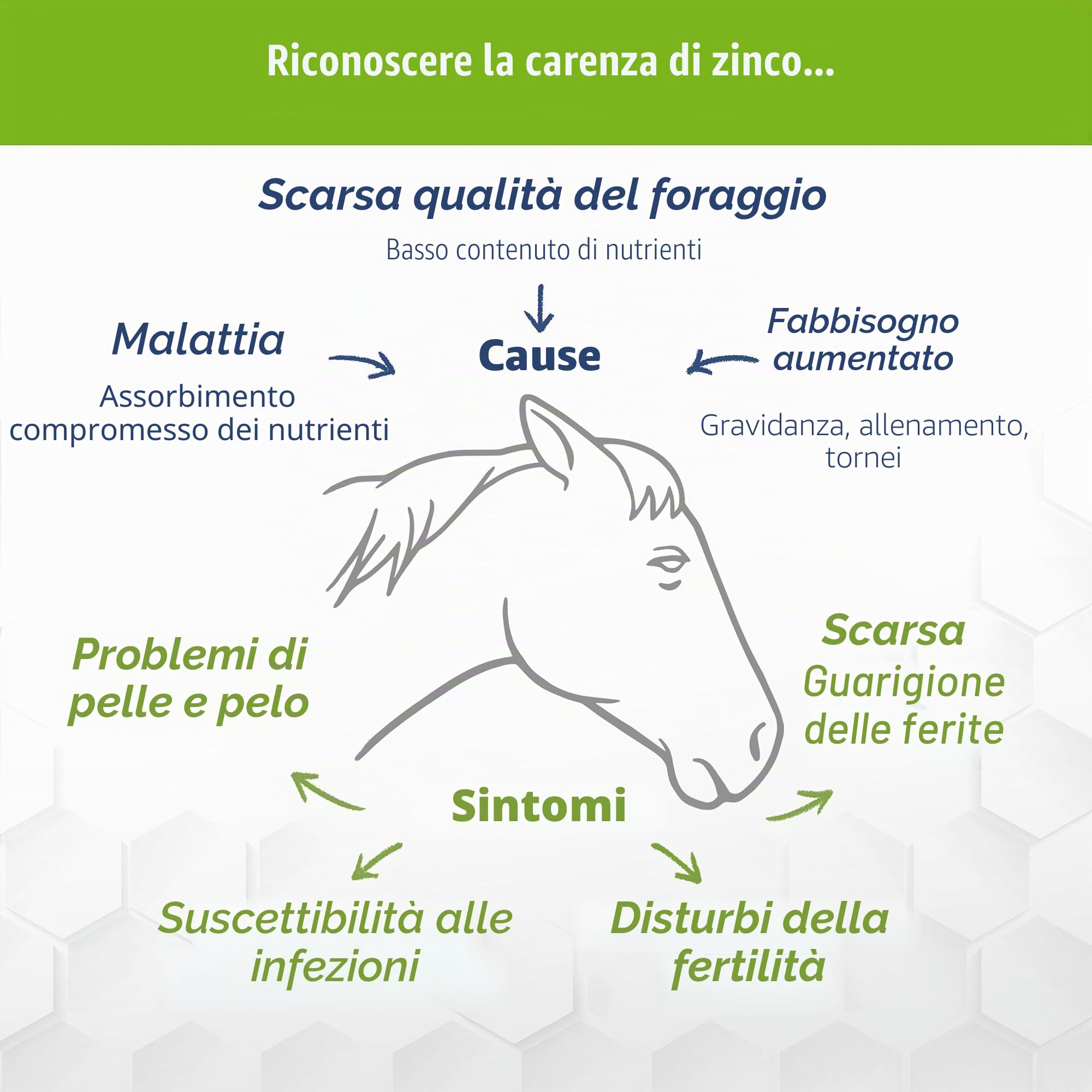 Zink Forte Plus | Cavallo di zinco ad alto dosaggio più rame e selenio | Con due forme di zinco per un assorbimento duraturo, per pelliccia, zoccoli e sistema immunitario, 1,8 kg