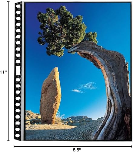 Miniatura 2 de ProFolio by Itoya, Art ProFolio PolyGlass, paquete de 10 páginas de repuesto para carpetas de anillas múltiples, retrato, 8.5 x 11 pulgadas