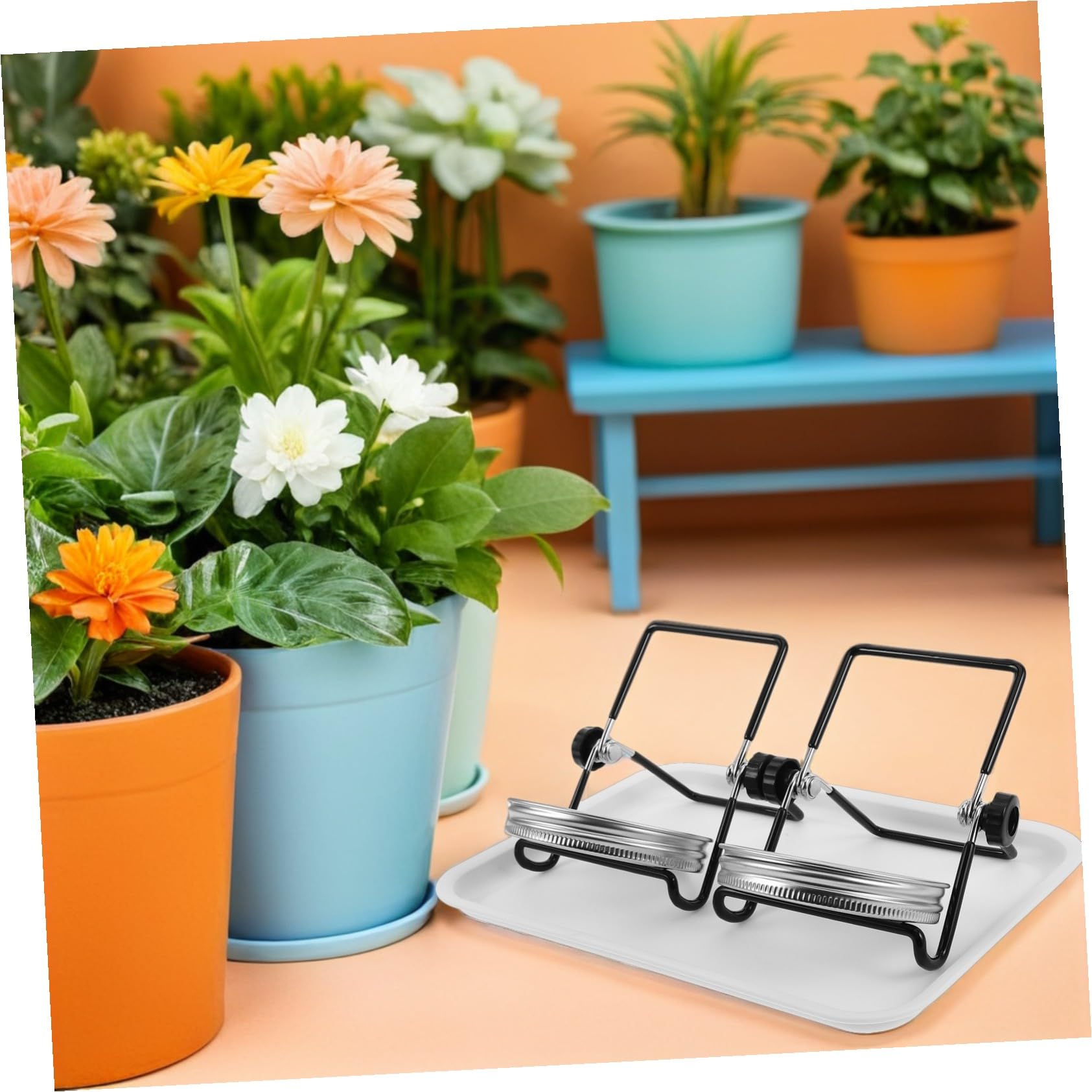 VANZACK 2 Juegos Kit de Germinación de Brotes con Tapas de Malla de Acero Inoxidable y Soporte para Frascos de Boca Ancha Ventilación Óptima Bandeja Recogedora y Fácil Limpieza para