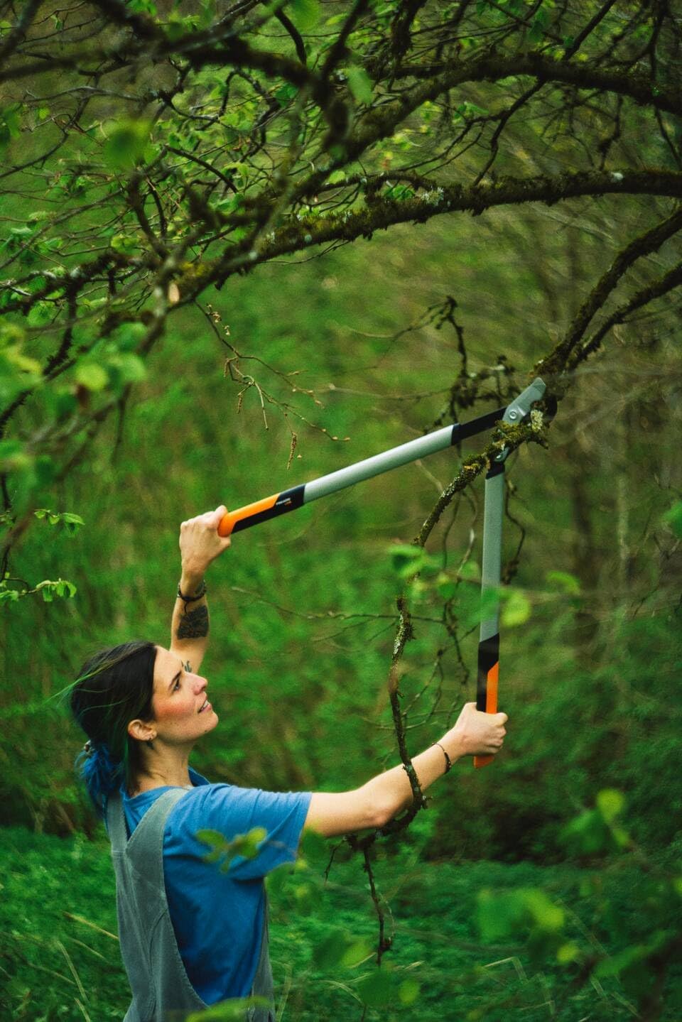 Fiskars PowerGear X Loppers Bypass L LX98, Fresh Wood Cutter with Sharp Blades, Size L, Non-Stick Coating, Cutting Diameter: 5 cm, Hardened Steel, Length: 80 cm, Black/Orange, 1020188