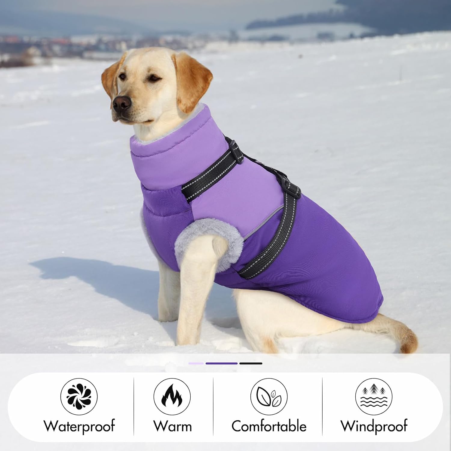 Dog Coat with Harness Built, Dog Winter Jacket with Zipper Closure, Warm Pet Fleece Puffer Coat with Reflective Strips & Furry Collar, Waterproof Snowsuit for Medium Large Dogs - Purple XXL