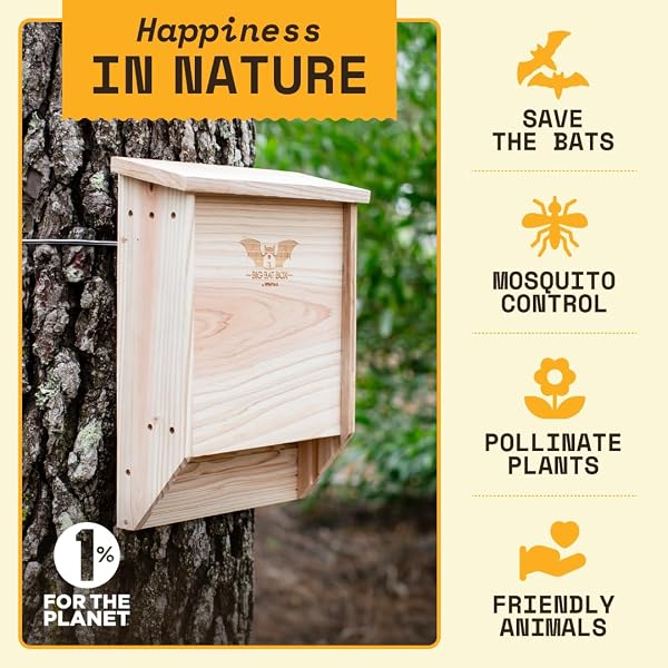 Wildyard Bat House For Outdoors -Casa Completa de Murciélagos para Exteriores - Limpia tu Patio de Mosquitos - Caja de Murciélagos sin Pintura en su Interior - 2