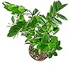Product Photo 3