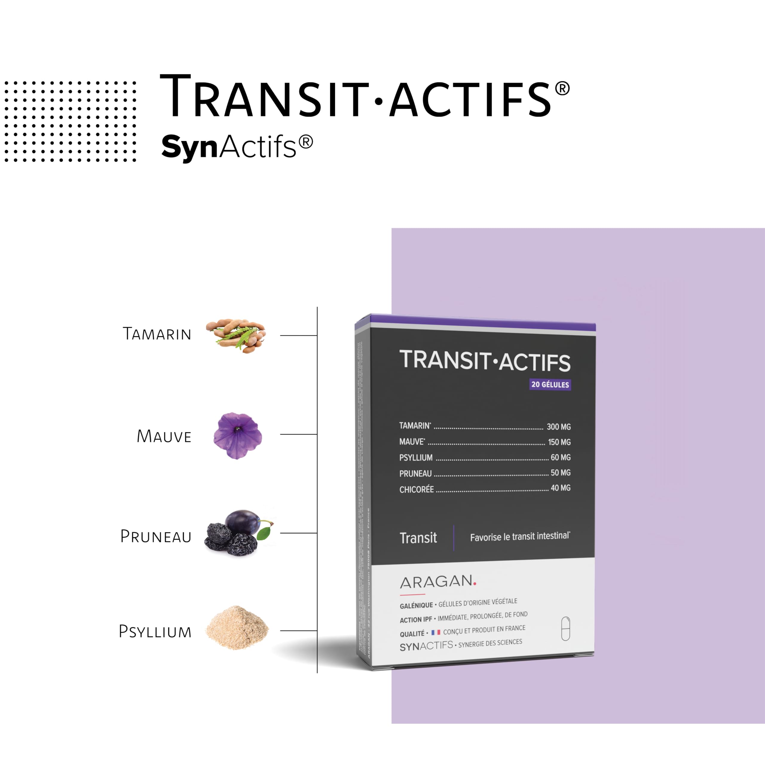 ARAGAN - Synactifs Lot de 2 Transitactifs - Complément Alimentaire Transit Intestinal - Tamarin, Mauve, Psyllium, Pruneau, Chicorée - 40 gélules - 20 jours de prise - Fabriqué en France