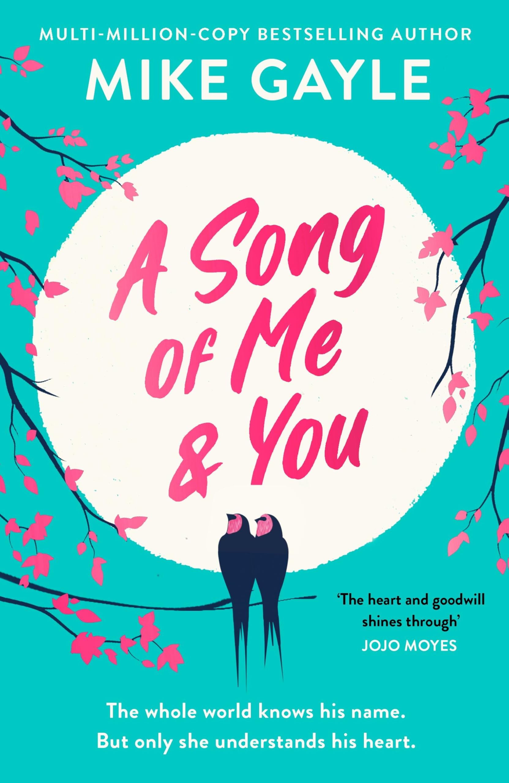 A Song of Me and You: a heartfelt and romantic novel of first... - Gayle, Mike