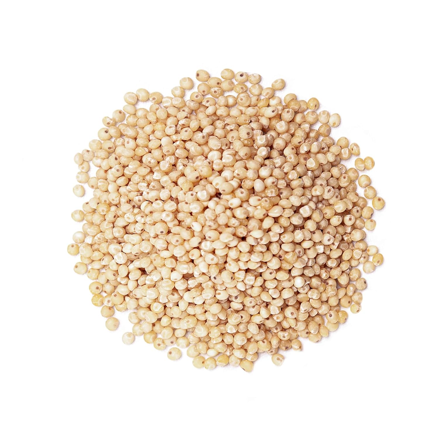 Food to Live Organic Italian White Whole Grain Sorghum, 3 Pounds – Non-GMO White Groats. Raw Milo Seeds. Vegan, Bulk Broom-corn. Durra is Great for Making Flour and Popped Jowar Dhani