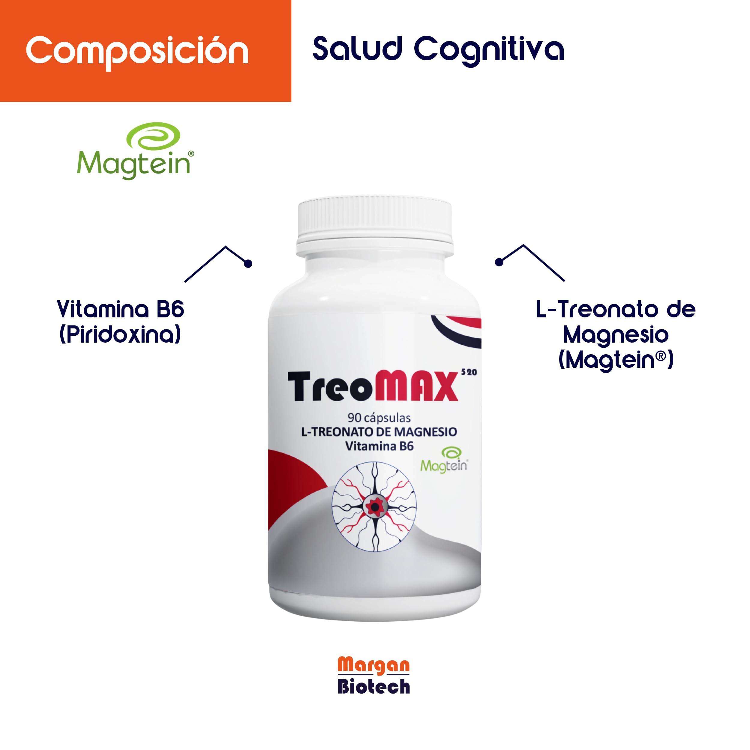 TreoMAX de Margan Biotech, 90 cápsulas | Treonato de Magnesio | Vitamina B6 | Complemento Alimenticio Para la Salud Cognitiva | Patente Magtein a dosis funcional + B6