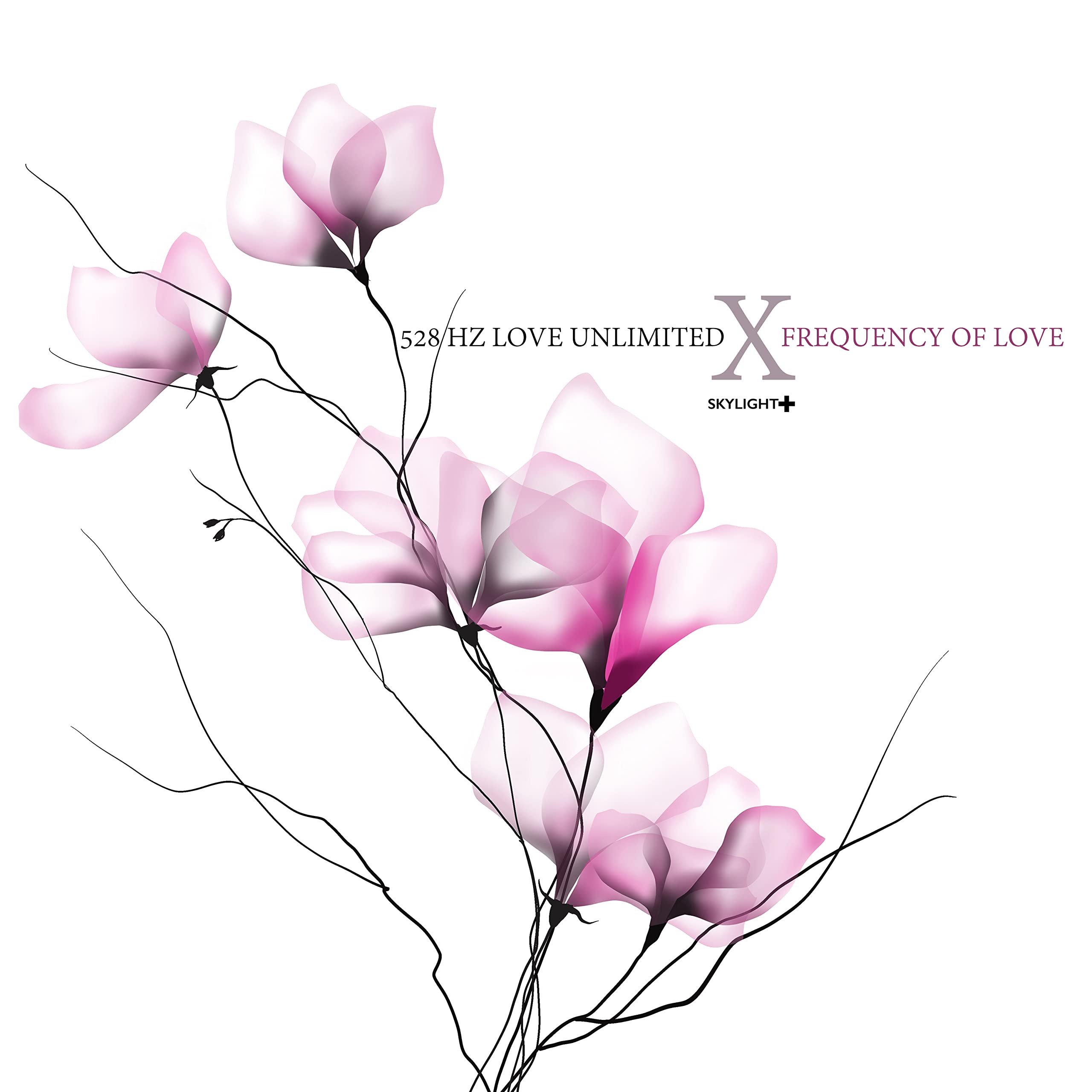 528 Hz Love Unlimited