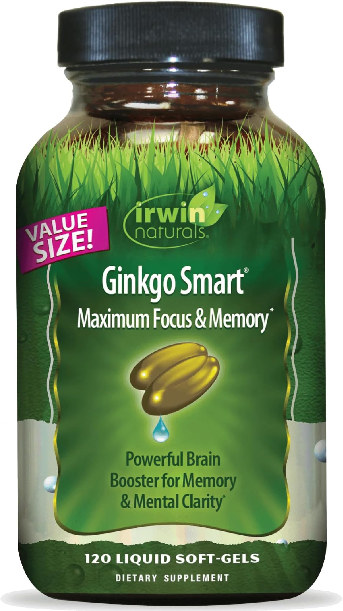 Irwin Naturals Ginkgo Smart - Brain Supplements for Memory and Focus with Ginkgo Biloba, Acetyl-L-Carnitine, DMAE and BioPerine® for Superior Absorption - 120 Liquid Soft-Gels