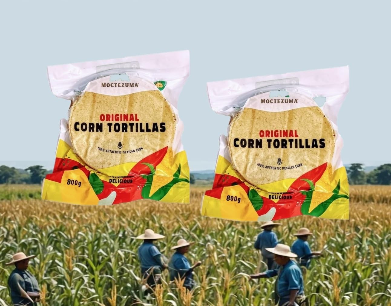Tortilla 2x500g 2x25 Stück Nixtamal vegan glutenfrei