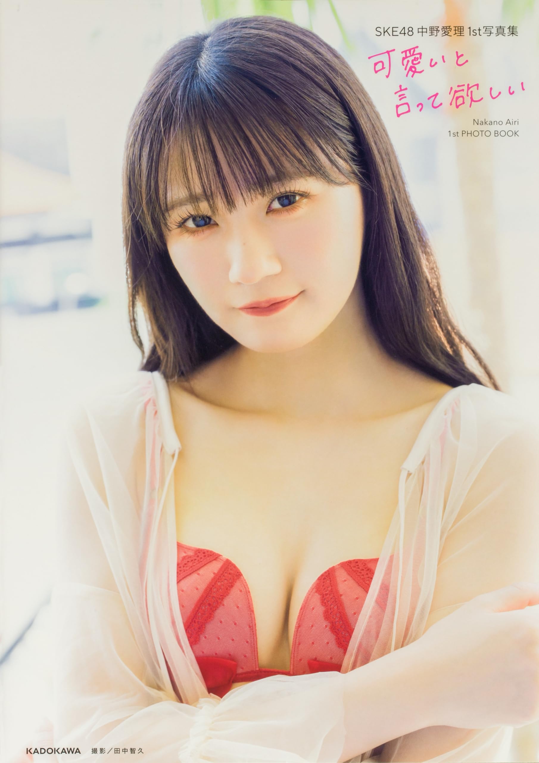 月刊　写真集　28冊セット Amazon.co.jp: SKE48 中野愛理1st写真集 可愛いと言って欲しい : 中野