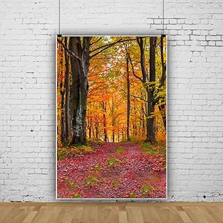 Qinunipoto 背景布 秋の森 風景 1.5x2.2m ハロウィンパーティーの飾り コスプレの背景 ハロウィン祝い記念写真 ビニール製 写真撮影 backdrop background 撮影背景 撮影シート 記念写真 背景紙 写真スタジオ