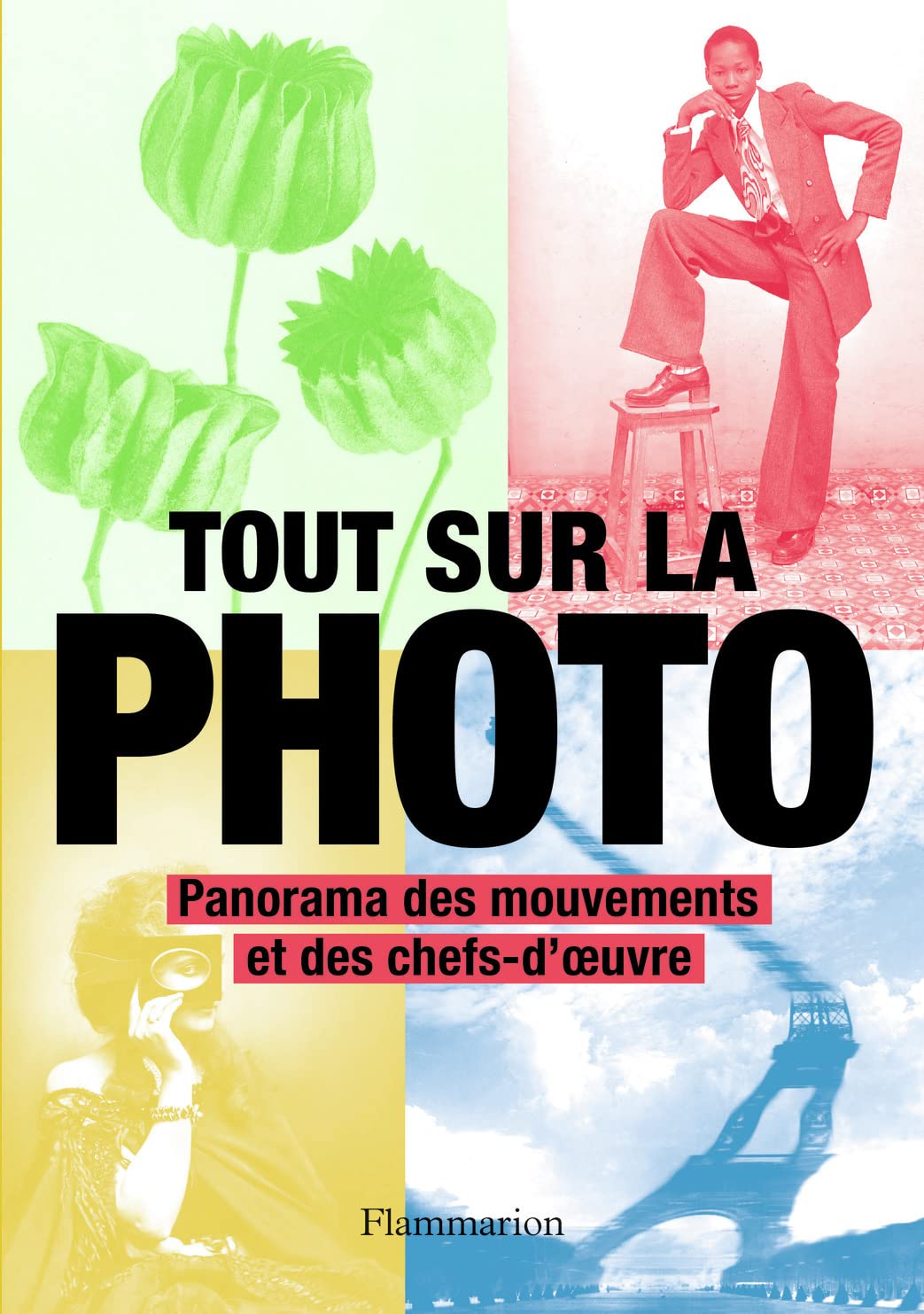 Tout sur la photo: Panorama des mouvements et des chefs-d'oeuvre