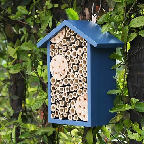 Miniatura 2 de Casa de abejas de madera para jardín, colmena de abeja de madera natural hecha a mano para mariquitas, crisopas, mariposa, insecto, hotel de abeja