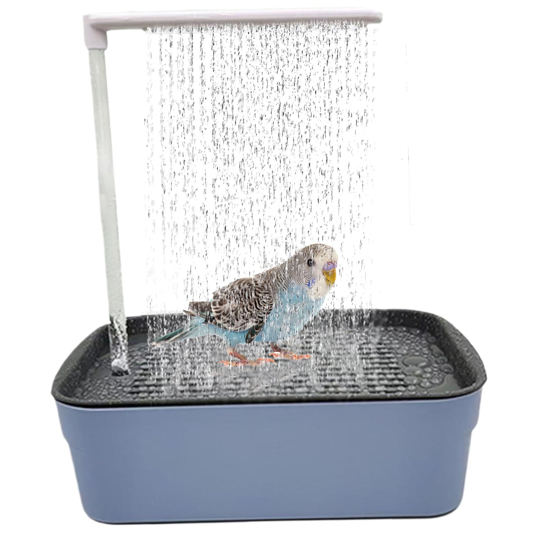 Vasca da bagno Set da bagno per uccelli 12, 4x13, 4x8, 5 set automatico per uccelli Pappagallo elettrico con rubinetti Doccia staccabile Vasca da per piccoli