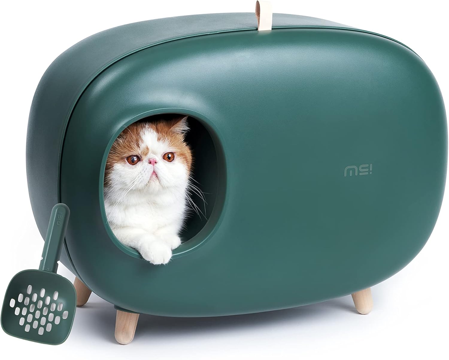 MS!MAKE SURE Cat Litter Box, Enclosed Design, Large Space