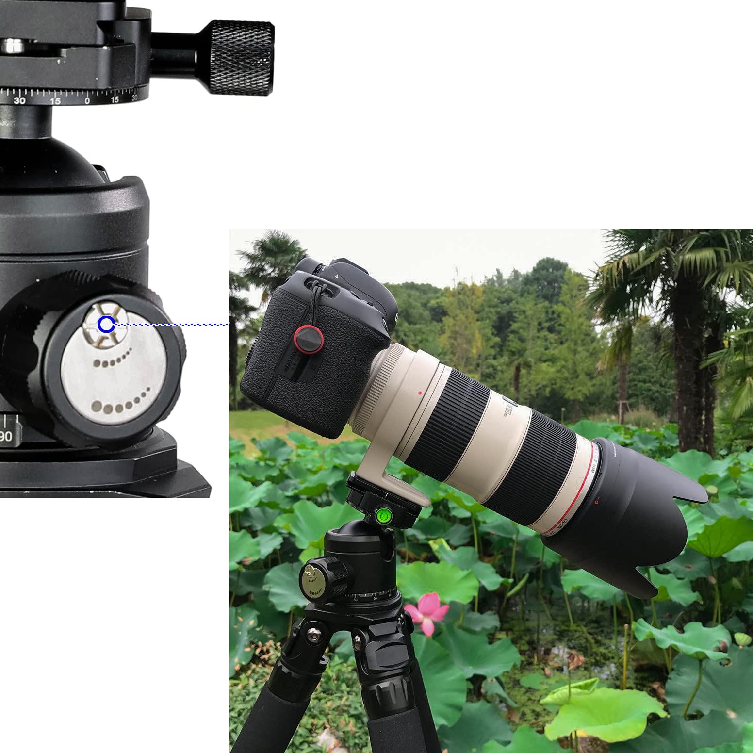 Pyramid Panorama - Testa a sfera per treppiede, doppia piastra panoramica, 460 g, altezza 9 cm, portata 20 kg, supporto professionale a 360 gradi, compatibile con Arca Swiss