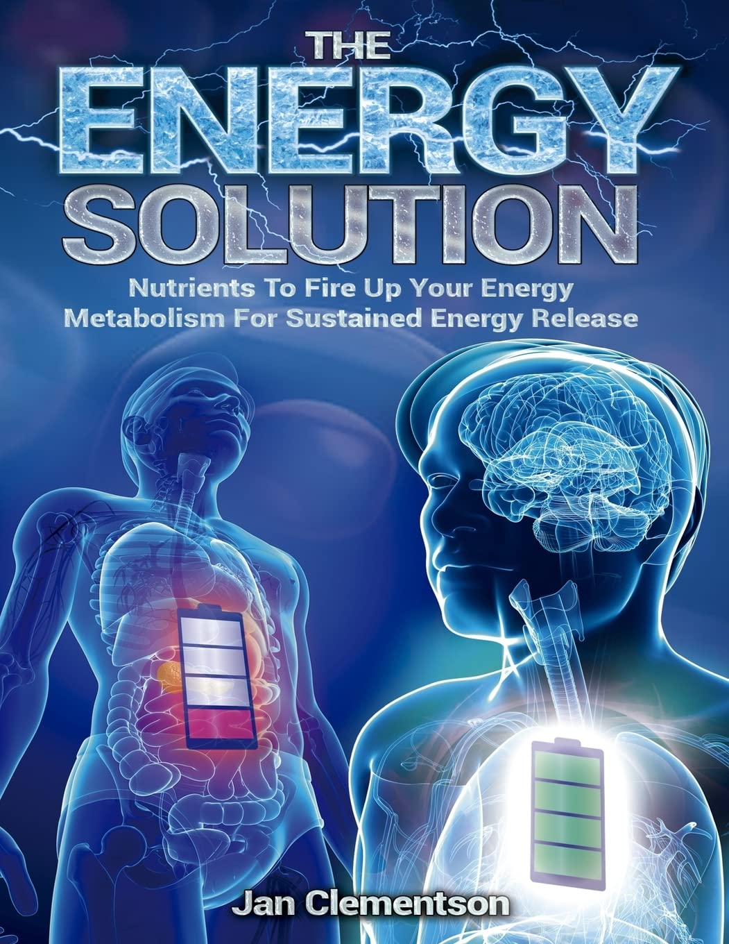 The Energy Solution: Nutrients to fire up your energy metabolism for sustained energy release