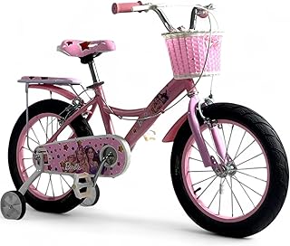 دراجة اطفال بناتي من فلاش 4 الوان ثلاث مقاسات - الوكيل الرسمي في مصر للمنتج GTG TOYS