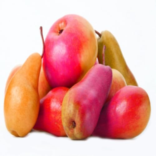 New FODMAP aSWAPP - your new best friend in a low FODMAP diet trial