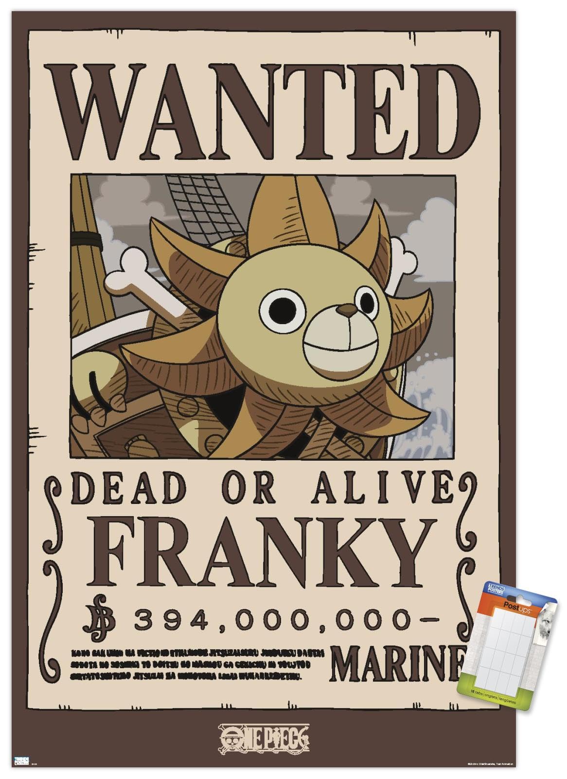 Amazon.com: One Piece - Franky Wanted Poster Wall Poster, 22.4L