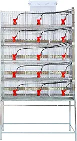 5 Gaiola para codorna ou codornão bebedouro automático copinho - Gaia
