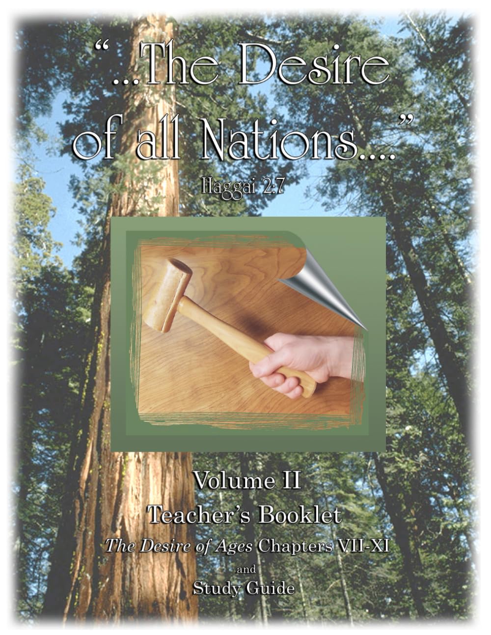 Desire of All Nations - Volume 2 - Teacher's Booklet: The Desire of Ages Chapters VII-XI and Study Guide