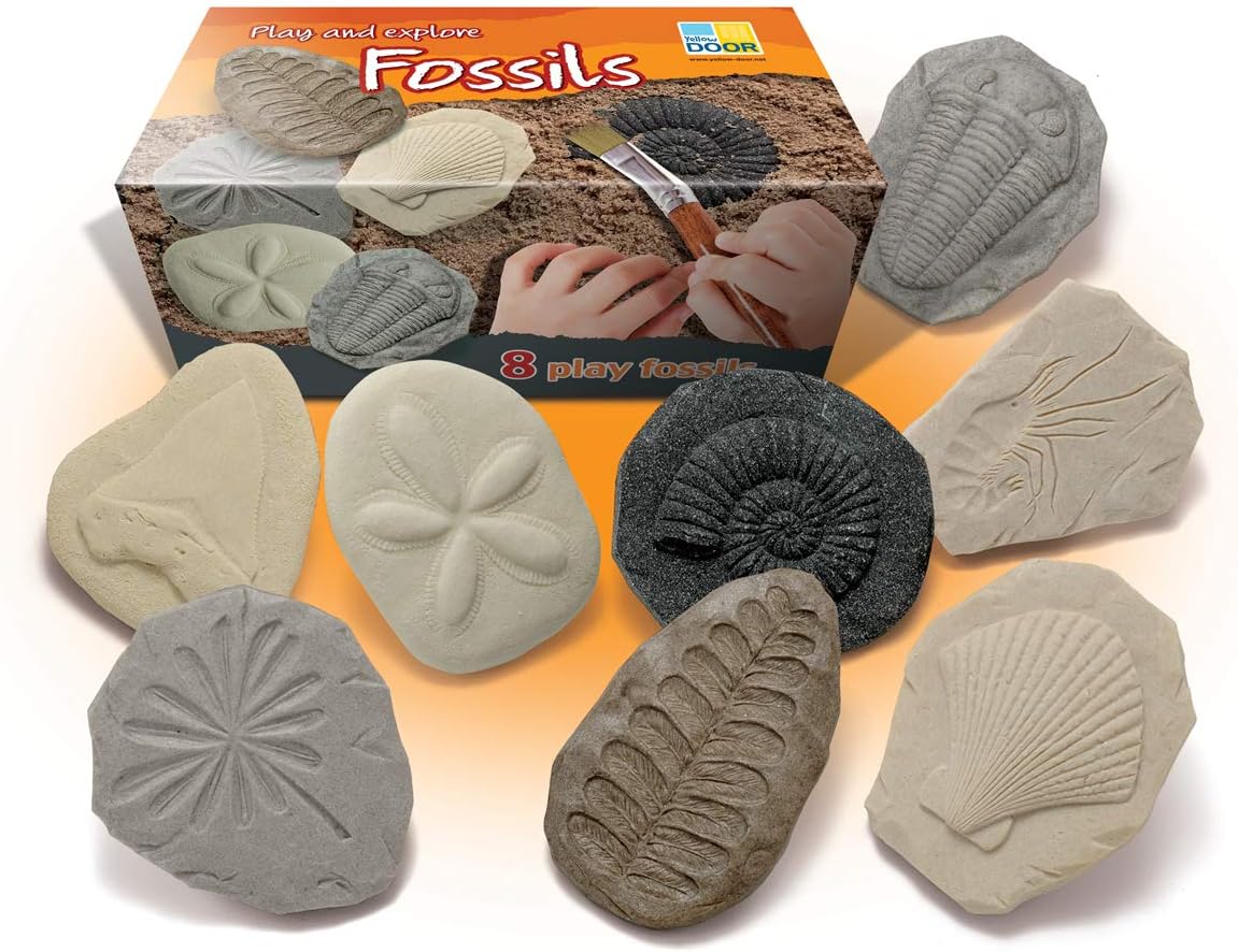 Let's Investigate – Fossils | Early educational learning |STEM| fossil dig for kids age 2,3,4,5 | dinosaur fossils |excavation set | Outdoor science toys |ammonite, trilobite | Messy play
