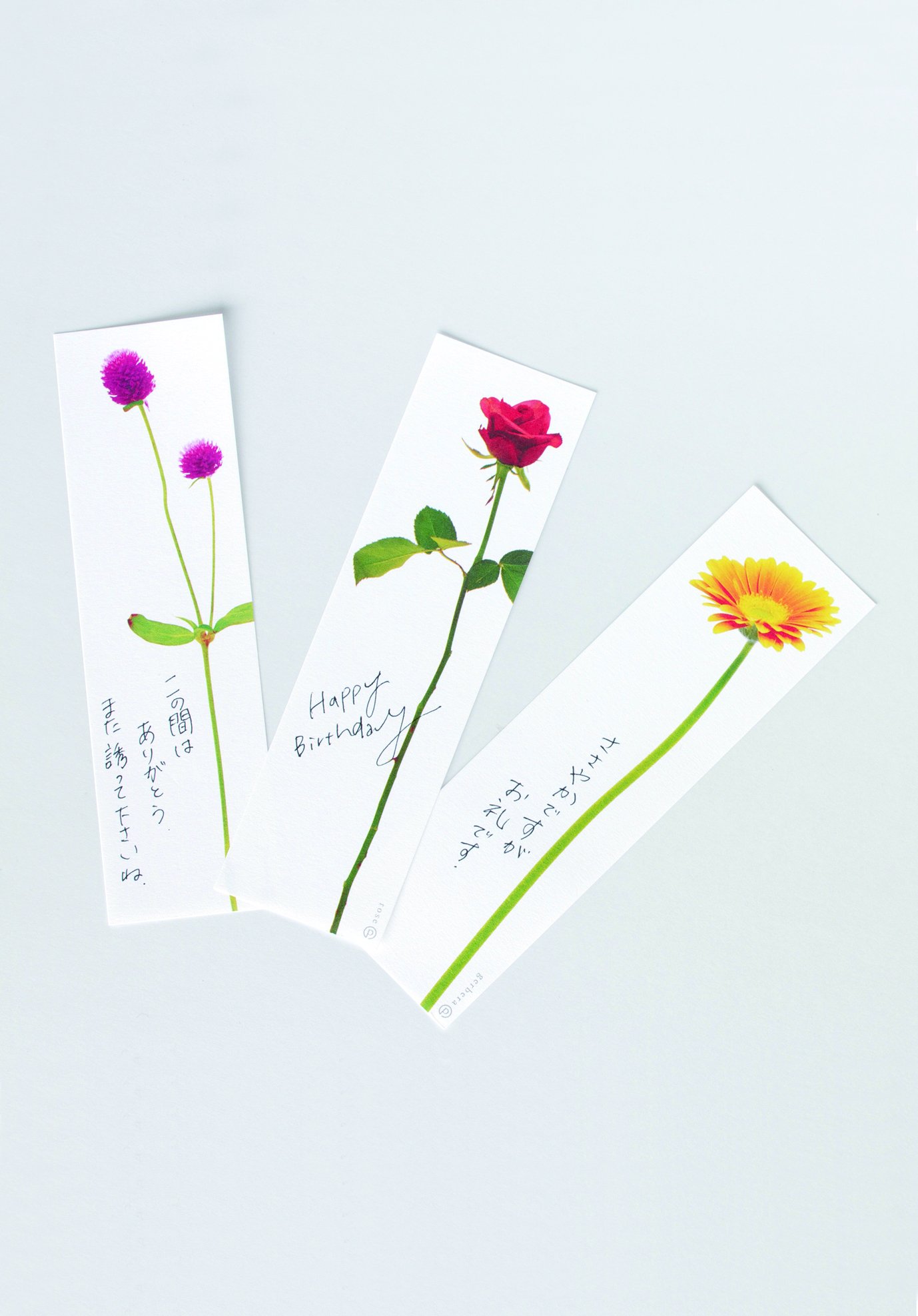 Amazon.co.jp: ペパラブル 100 フラワーズブロック メモ バーネット Amazon.co.jp: ペパラブル 100 フラワーズブロック メモ バーネット