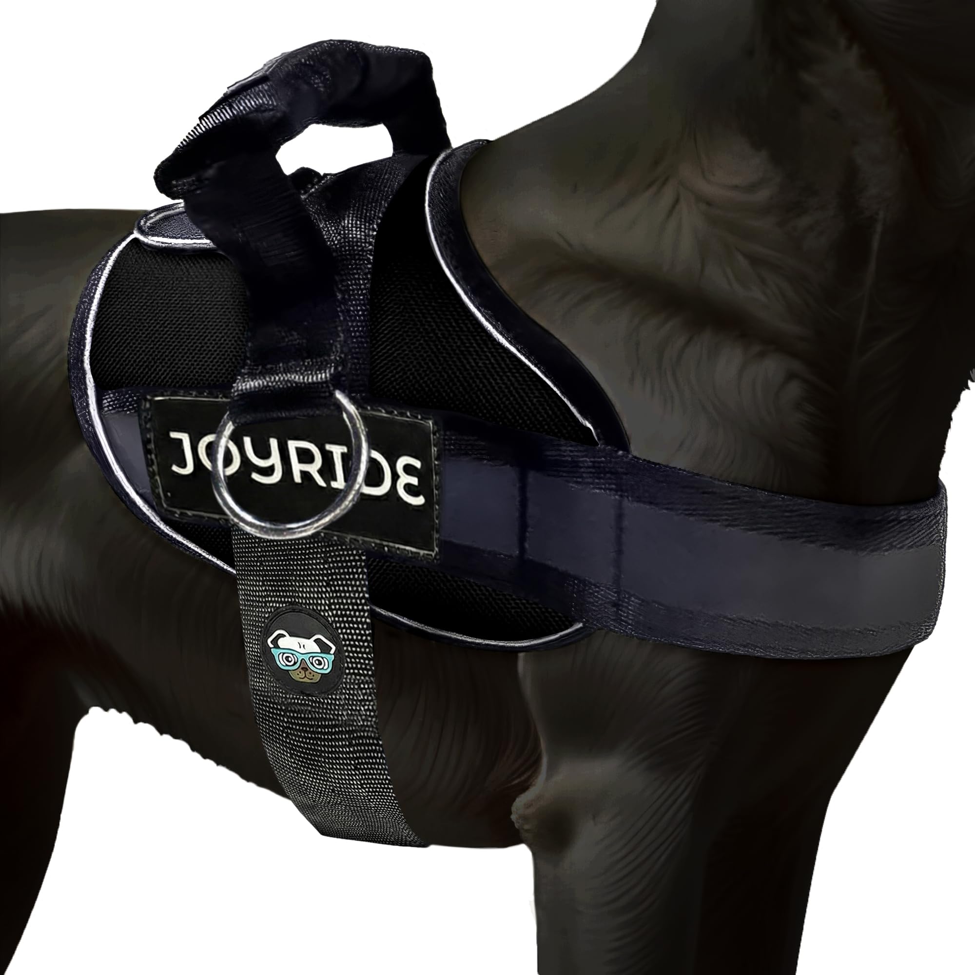 Joyride Harness 2.0