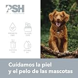 Ver la foto 3