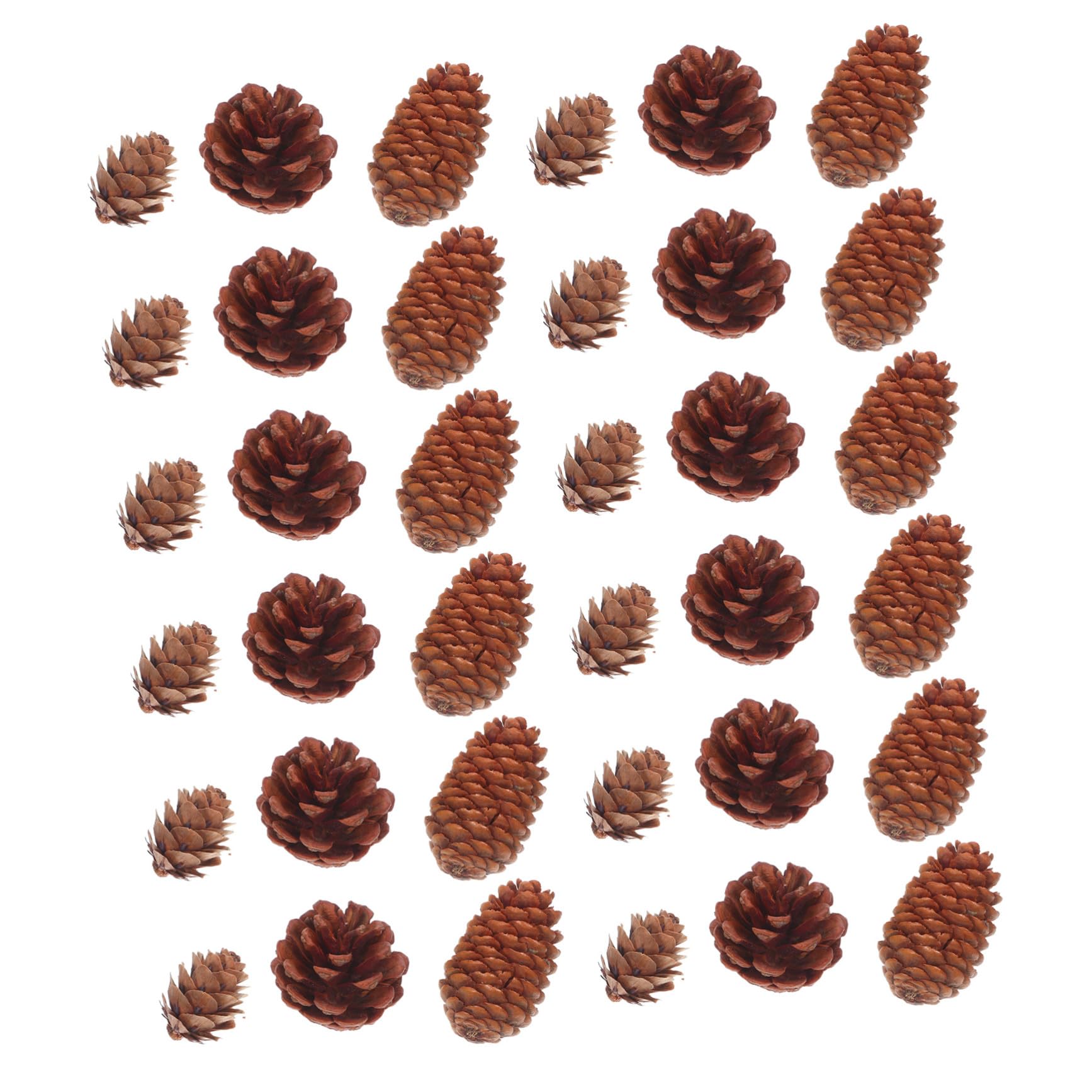 ORFOFE 120 Pezzi Mini Pigne Naturali per Artigianato Pigne Piccole per Decorazioni Natalizie Riempitivi per Vasi Addobbi per Albero di Natale Corone e Matrimoni Materiale Sostenibile e