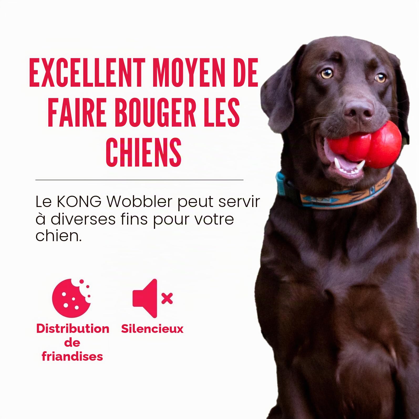 KONG Wobbler - Jouet Interactif pour Chien avec Distributeur De Friandises - Nourrisseur Lent pour Une Alimentation Saine - pour Chiens Moyens/Grands